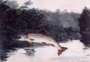 Winslow Homer : Leaping Trout III